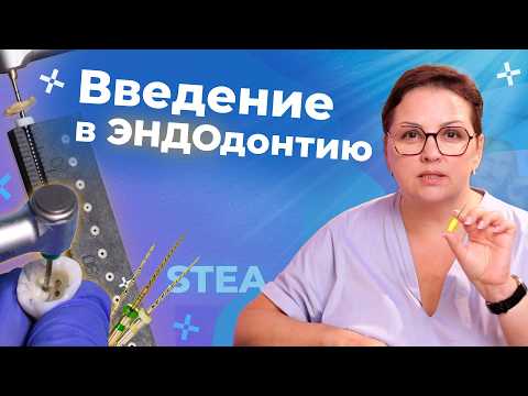 Видео: Эндодонтия для начинающих| Основы от А до Я