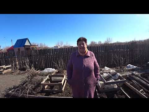 Видео: ЧТОБЫ ВОДИЛИСЬ ДЕНЬГИ совет от МАМЫ/Хорошо что ОТЕЦ не СЛЫШИТ/Худела до ГОЛОДНЫХ ОБМОРОКОВ/МОЛОКОЧАЙ
