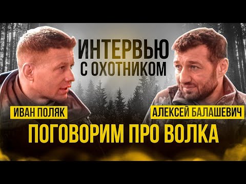 Видео: Интервью с Иваном Поляком. Поговорим про волка. Как правильно вабить? #охота #волк #трофей #ваба