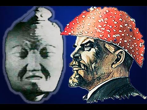 Видео: Мемы,пришедшие к нам из Телевизора