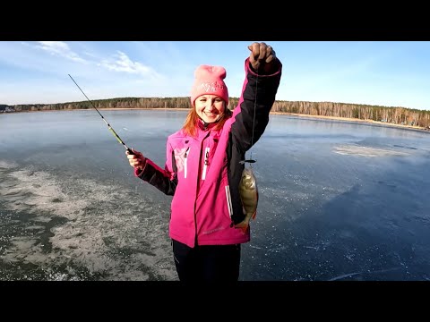 Видео: ОПЕРАТОР ВЫШЛА на ПЕРВЫЙ ЛЁД 2025-26 и ПОНЕСЛОСЬ! ВЕСЕЛО ЛОВИЛИ ОКУНЕЙ на БАЛАНСИР и БЛЕСНУ со ЛЬДА