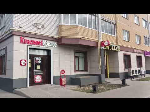 Видео: На прогулке с Костиком по городу Семилуки 30.08.2023 - посмотрим, что новенького в Семилуках