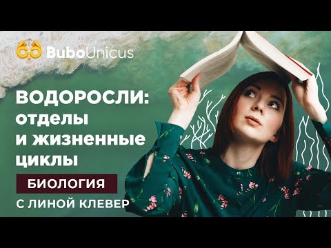 Видео: Водоросли: отделы и жизненные циклы | БИОЛОГИЯ ЕГЭ | Лина Клевер