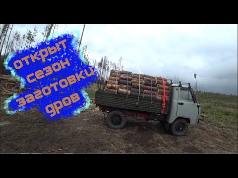 Видео: заготовка дров, изобретаю дровакол