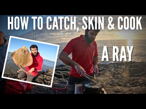 Видео: Как поймать, освежевать и приготовить ската, рыбалка на пляже в Великобритании