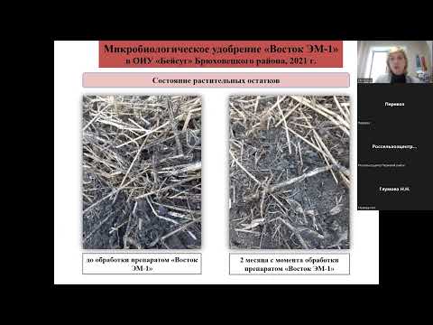 Видео: Осенние обработки на полях: ферментация пожнивных остатков и устранение патогенов с помощью ЭМ-БИО