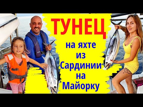 Видео: Тунец тебе в дышло! Переход на яхте из Сардинии на Майорку и Менорку. Жизнь на парусном катамаране.