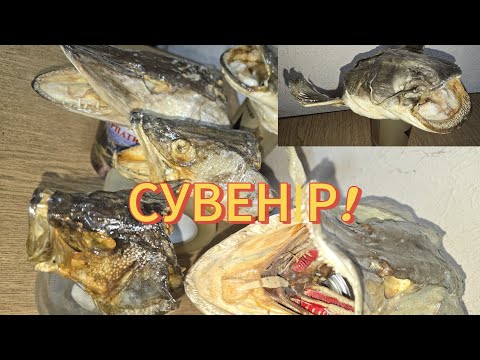 Видео: Як зробити сувенір, на згадку про трофейну рибалку. 🎣🐟👍