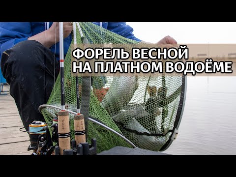 Видео: ФОРЕЛЬ НА СПИННИНГ. Делай так и поймаешь.