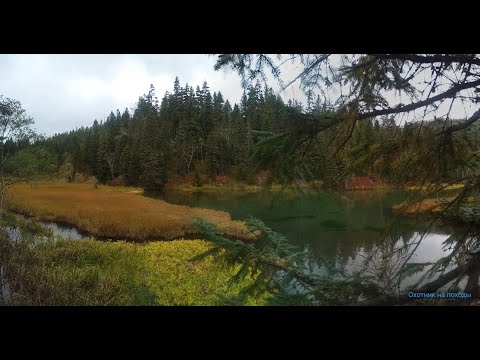 Видео: Один за горизонты - 2
