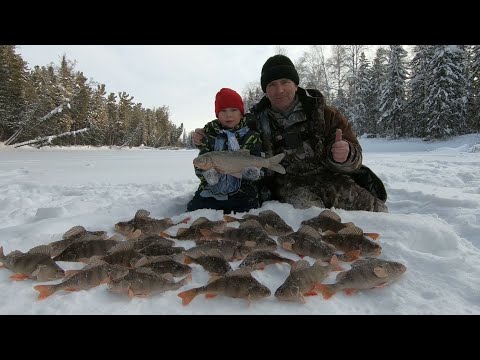 Видео: ЧУДНЫЕ ОКУНЯРЫ И ЯЗЬ НА ЗАВИСТЬ! ЗИМНЯЯ РЫБАЛКА КАК СКАЗКА ДЛЯ СЫНА! ОН СЧАСТЛИВ ОТ ТАКИХ ТРОФЕЕВ)!