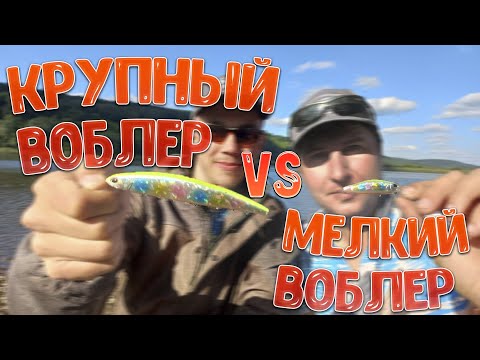 Видео: Крупные воблеры против мелких | Твичинг, лайфхаки и советы начинающим