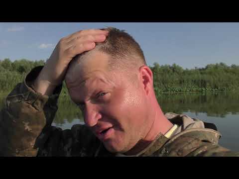 Видео: ВОТ Я ПОПАЛ НА КЛЕВ!!! РЫБАЛКА НА ДИКОГО САЗАНА!