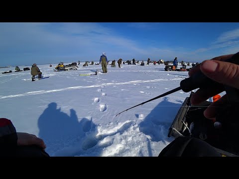 Видео: ВЕСЕННИЕ РАЗДАЧИ! БЕШЕННАЯ ТОЛПА РЫБАКОВ ГОНИТ РЫБУ! РЫБАЛКА ПО ПОСЛЕДНЕМУ ЛЬДУ!