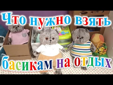 Видео: Что нужно взять басикам на отдых.