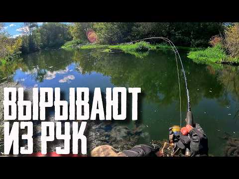 Видео: 🔴 ОТ ТАКИХ ПОКЛЕВОК РУКИ ТРЯСУТСЯ! Работала только ОНА! 😱💥🔥