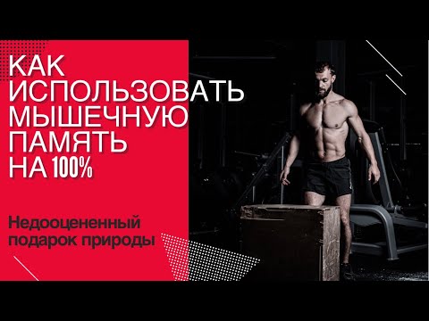 Видео: Мышечная память: что такое, как работает и как помогает прогрессу простыми словами