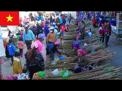 Видео: «День на рынке Там Доонг: традиционный горный рынок на северо-западе Вьетнама»
