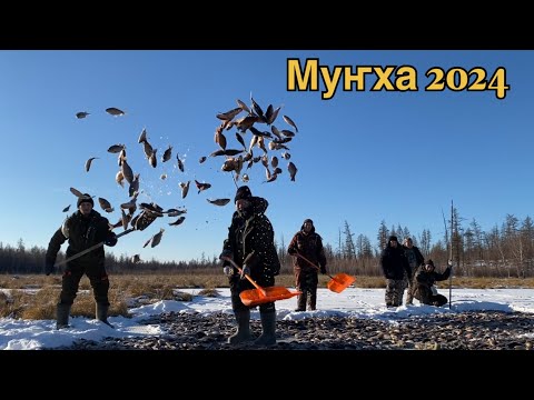 Видео: Мунха 2024 сыл…