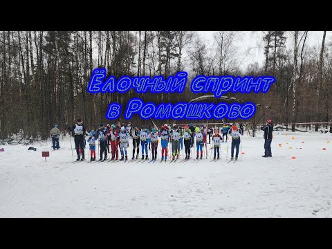 Видео: Ёлочный спринт в Ромашково