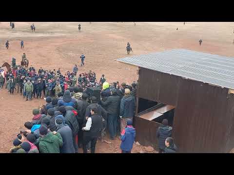 Видео: Бузкаши Тоҷикобод Қисми 3 Поёни Чорабини Охирон солимро Яъне Асп  ро Назир аз Сафедмун соҳиб шуд.