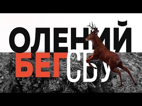 Видео: СБУ: Олений бег - Амплитуда бедер в беге - Развитие техники бега