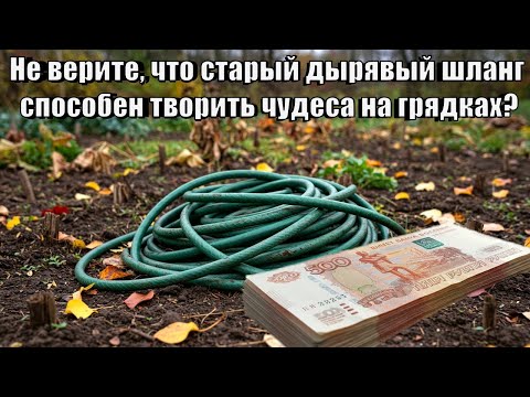 Видео: Старый Шланг повысит урожай в 30 раз. Три лучших домашних удобрения без химии!