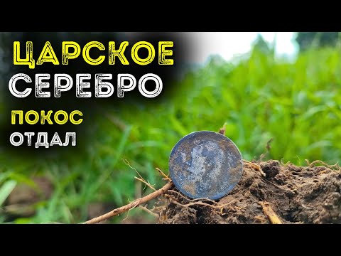 Видео: Царское серебро на покосе 🔥🔥🔥 коп монет в жилой деревне