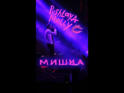 Видео: Пошлая Молли  - Мишка (Гигант Холл Спб 09.01.22)