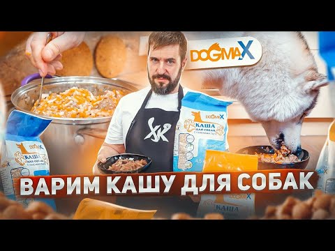 Видео: Варим кашу для собак DogmaX | Обзор и интервью | Натуральное питание для собак