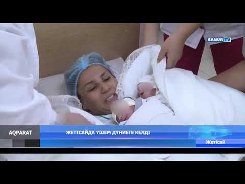Видео: 04.09.2023.Жетісай ауданы. Жетісайда үшемдер дүниеге келді