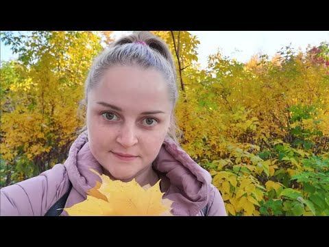 Видео: Криоконсервация/Что с работой?/Гипертония и беременность