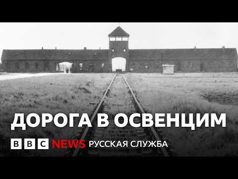 Видео: Дорога в Освенцим: Холокост от пуль, газовые камеры и лагеря смерти | Документальный фильм Би-би-си
