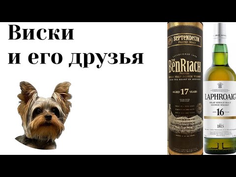 Видео: BenRiach 17 или Laphroaig 16, вот в чем вопрос.