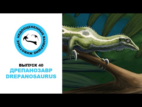 Видео: Недооцененные Вымершие Животные. Выпуск 40: Дрепанозавр (Drepanosaurus)