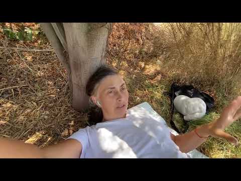 Видео: Неожиданный выход из вины и из положения «Козла отпущения»