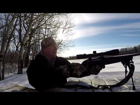 Видео: Ruger American, калібр 223.Як повела китайска пуля на 100 метрів