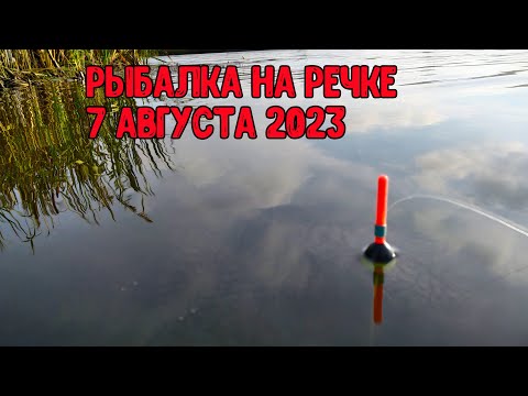 Видео: Рыбалка на речке 7 августа 2023 на поплавок!