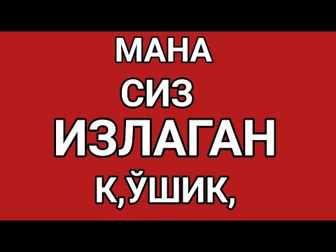 Видео: Мана уша сиз излаган кушик 😥КУРБОН ХАМДАМОВ