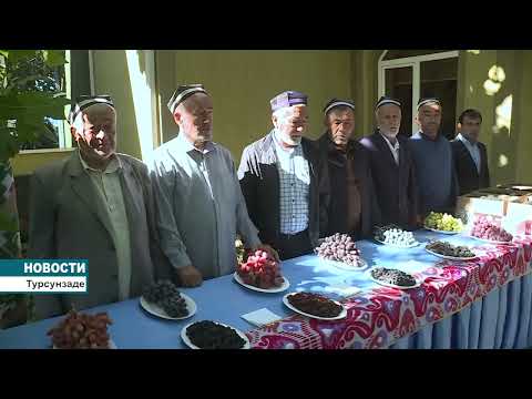 Видео: Дехканское виноградарское хозяйство «Ходжи Неъмат» в Турсунзаде