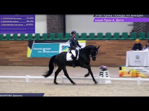 Видео: САПФИР 2016 (о. Sir Donnerwell) в езде ППД (А) 70,75%