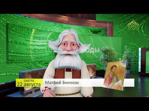 Видео: Прогноз погоды. 22 августа 2019