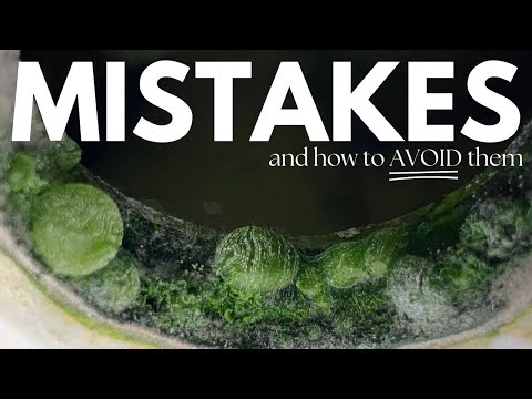 Видео: Избегайте этих ошибок новичков при использовании AeroGarden — важные советы для новых пользователей!