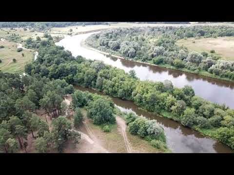 Видео: полет над Селом Спас Купалище Судогодский район 25 07 2021