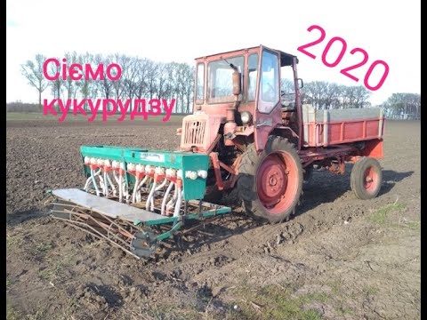 Видео: Т-16 сіє КУКУРУДЗУ. 2020.