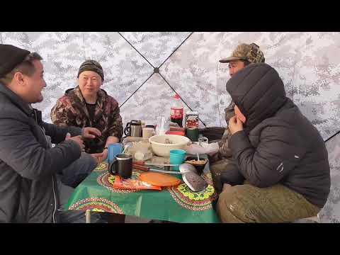 Видео: Охота на уток в Якутии Весна 2024 ( 2 Часть). Вилюйск