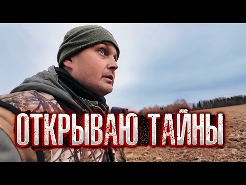 Видео: СЛЕДЫ В ЛЕСУ. Не все тайны бездонны: Нашёл поле с чешуёй!