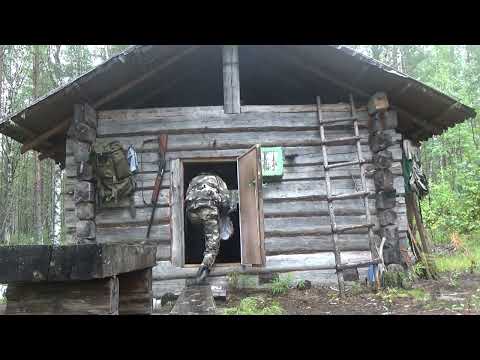 Видео: ОХОТА В ТАЙГЕ / ПОХОД НА ИЗБУ / ПРИВАДА НА МЕДВЕДЯ / ЗВЕРЬ ПОВРЕДИЛ ФОТОЛОВУШКУ  / ОДИН В ТАЙГЕ