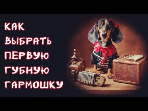 Видео: Как выбрать первую губную гармошку | How to choose your first harmonica (ENG sub) feat. @Harp7r