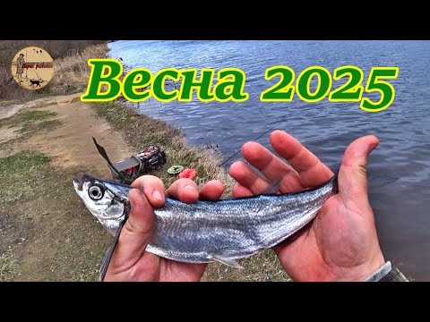 Видео: Холодная весна. Рыбалка на фидер.
